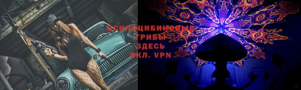 крисы Орск