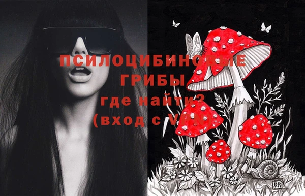 крисы Орск