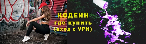 индика Щучье
