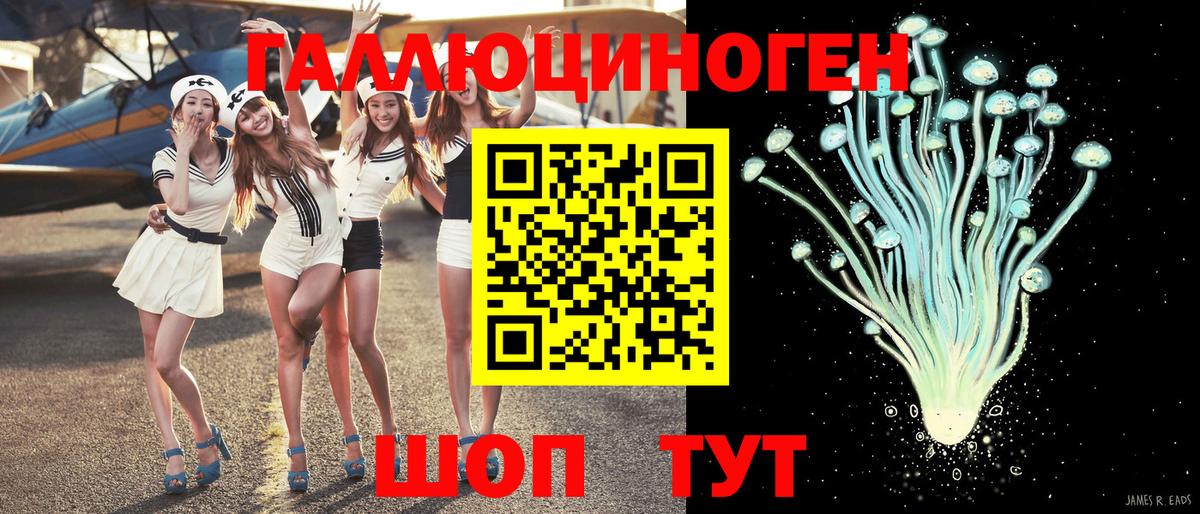 Псилоцибиновые грибы Cubensis  Вход с VPN  Заводоуковск 
