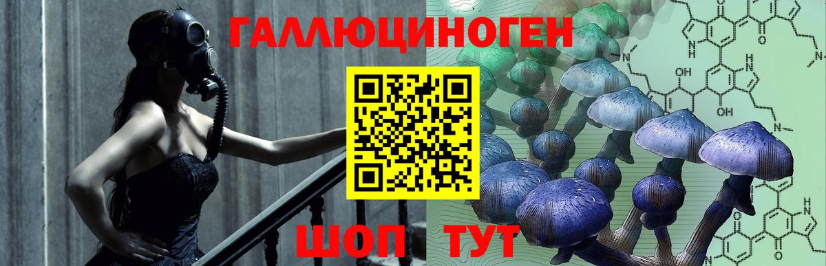 Галлюциногенные грибы Cubensis Заводоуковск